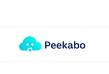 Peekabo CDN:香港/日本国内优化,100GB月流量,1Gbps带宽,月付10美金-节点测评